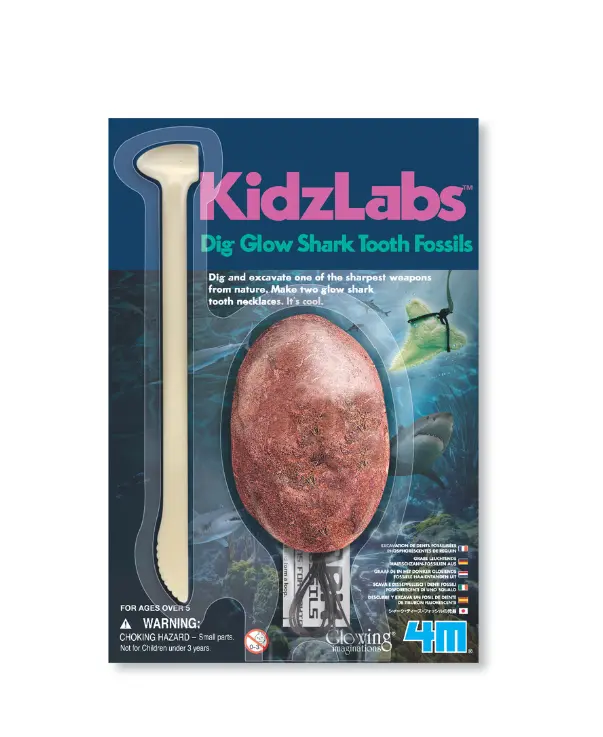 4M Shark Tooth Fossil Dig Kit For Kids 1