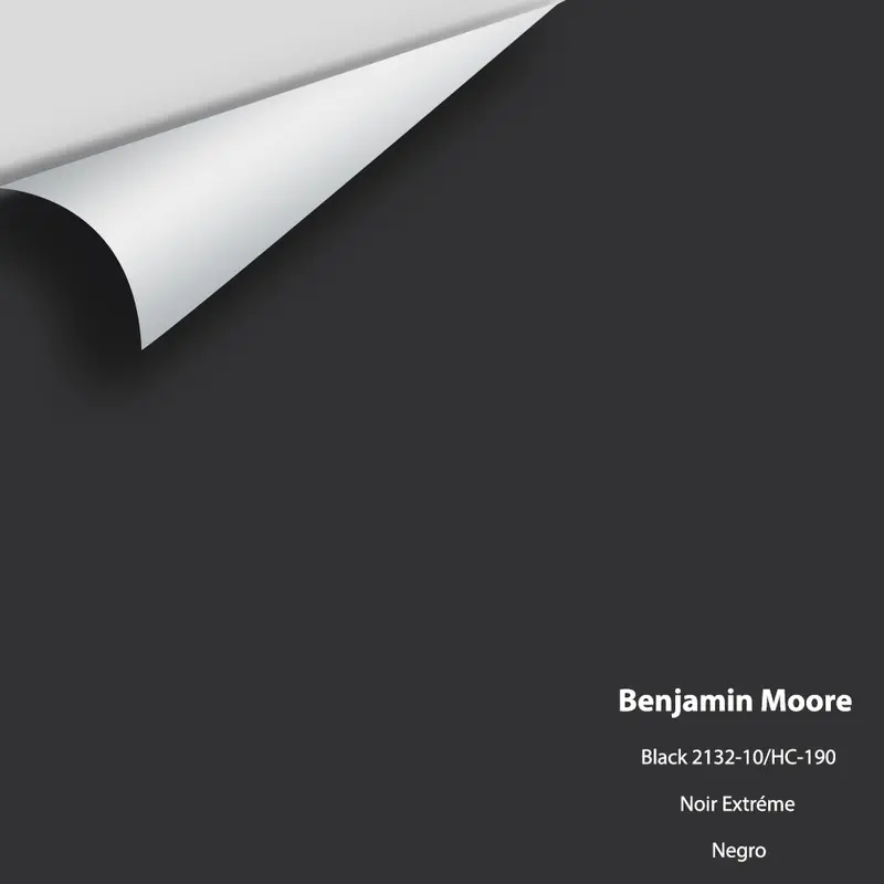 Black 2132-10 Large Paint Swatch – Deep True Black (Hc-190) 1