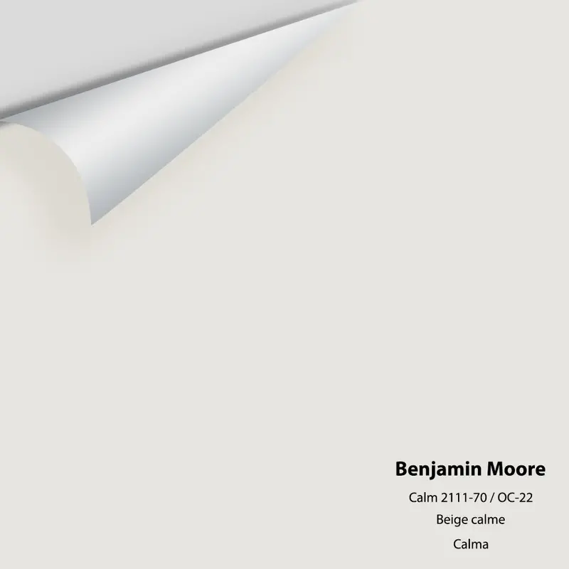 Calm 2111-70 Paint Sample – Serene Light Gray (Oc-22) 1