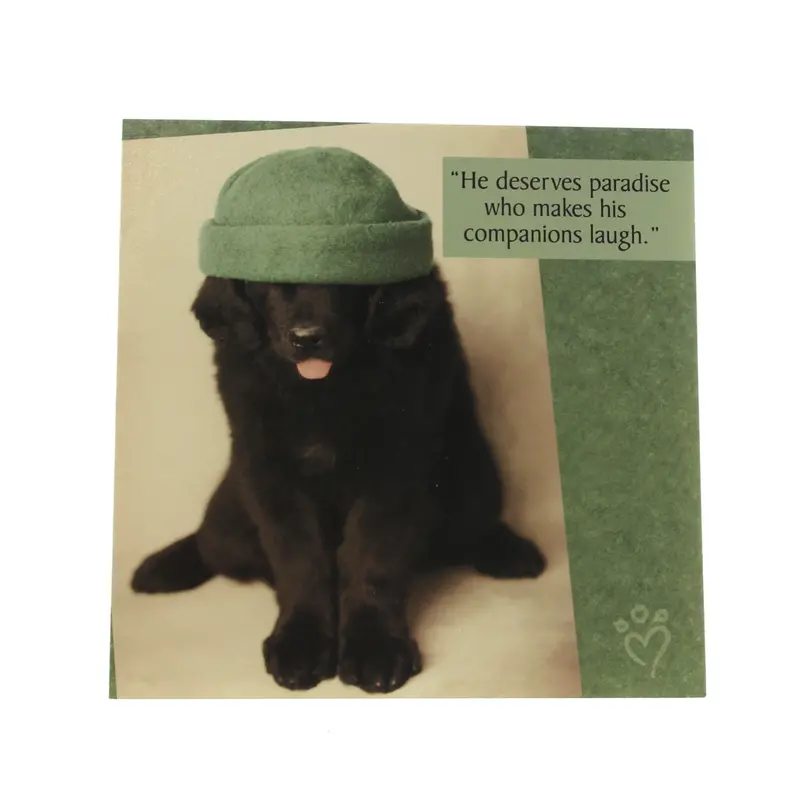 Dog Lover Friendship Card: 'He Deserves Paradise' With Hat-Wearing Canine Art 1