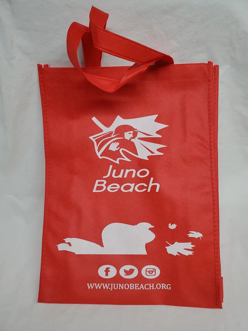 Eco-Friendly Reusable Grocery Tote Bag – Juno Beach Design 1