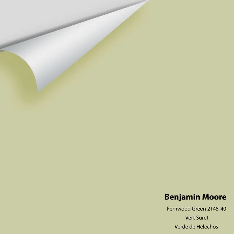 Fernwood Green 2145-40 Large Paint Sample Chip 1