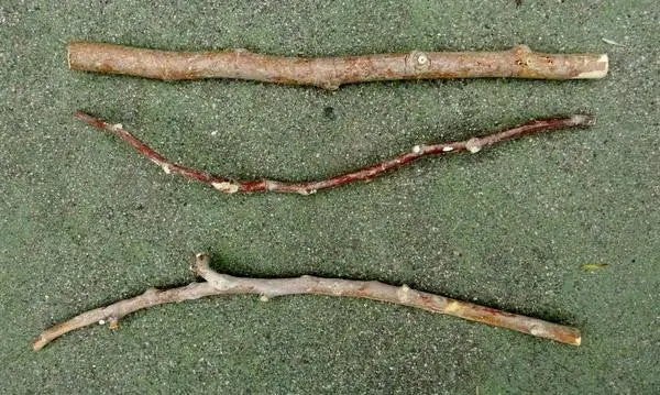 Kammerflage Natural Chameleon Branches – Pack Of 3 (Assorted Sizes) 1