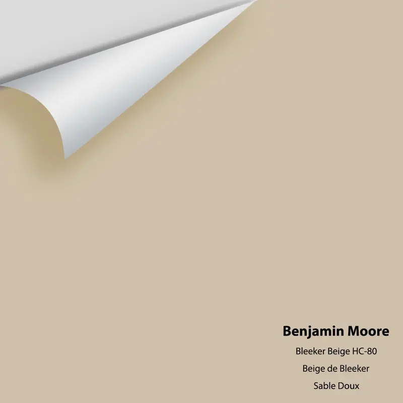 Large Color Chip: Bleeker Beige Hc-80 1