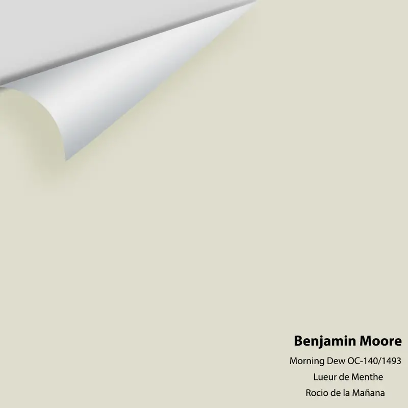 Large Color Chip: Morning Dew 1493 / Oc-140 1
