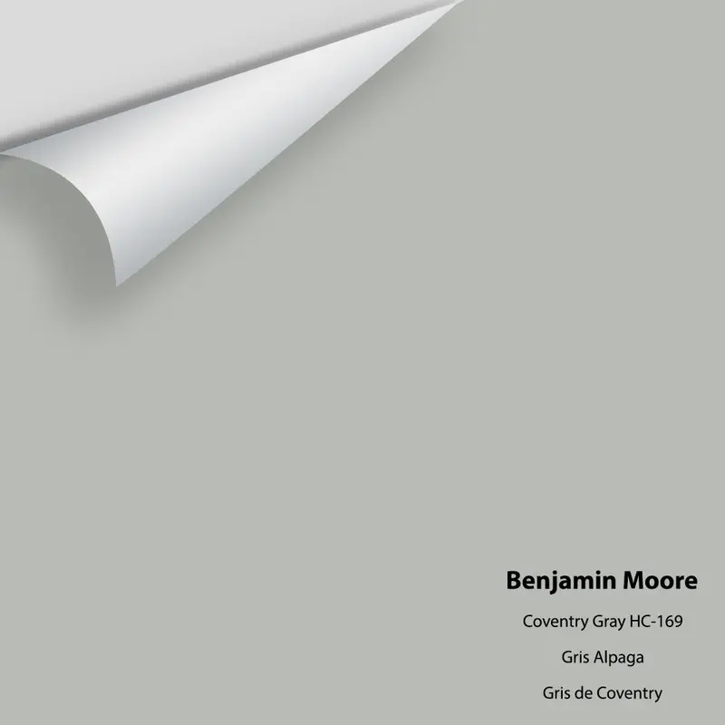 Large Paint Sample – Benjamin Moore Hc-169 Coventry Gray 1