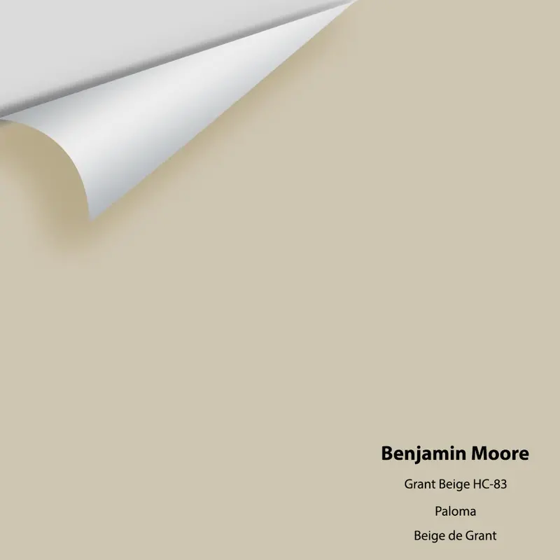 Large Paint Sample – Benjamin Moore Hc-83 Grant Beige 1