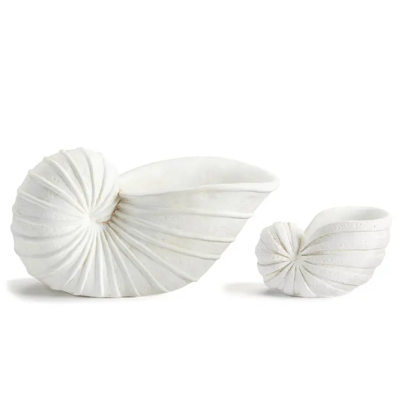 Natural Shell Table Decor – Available In Small And Large 1