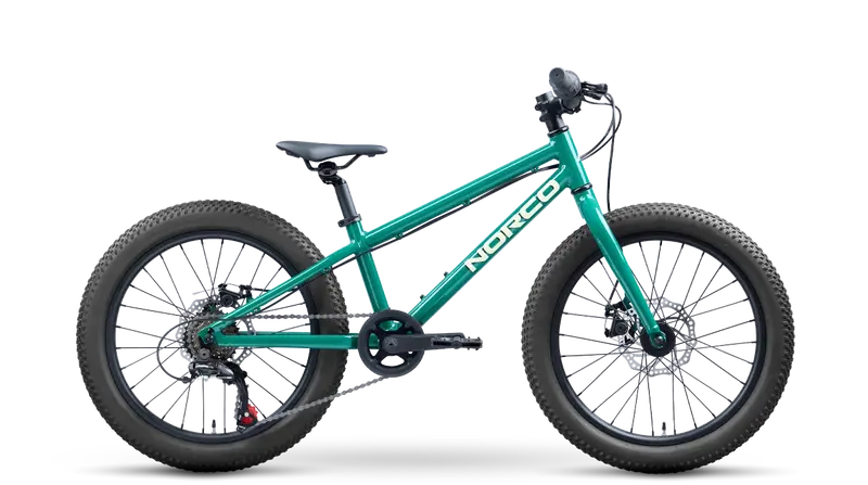 Norco Storm 20 Nl Youth Mountain Bike 1