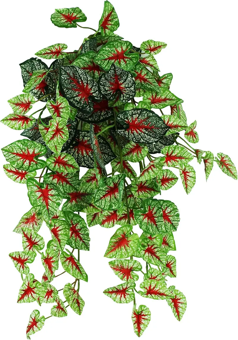 Pangea Hanging Bush Plants — Free Shipping With Chameleon Purchase 1
