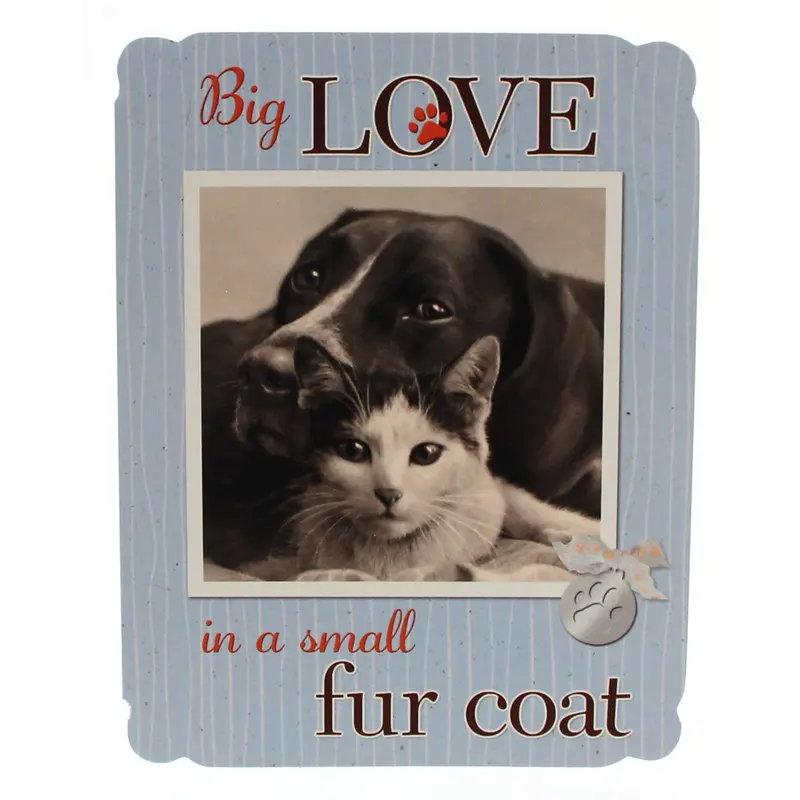 Pet Loss Sympathy Card – Heartfelt Tribute To A Beloved Animal Companion 1