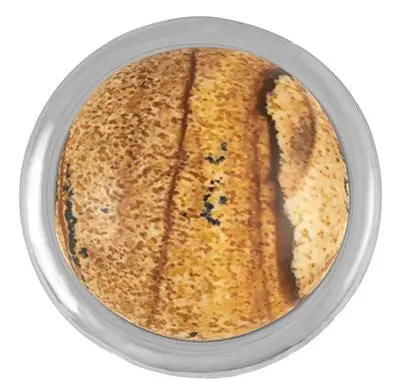 Picture Jasper Gemstone Snap Charm – Earthy Natural Stone 1