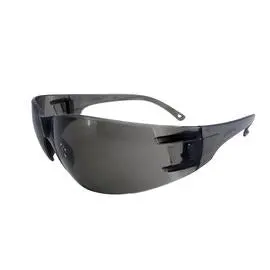 Radnor Tinted Safety Glasses – Pack Of 12 1