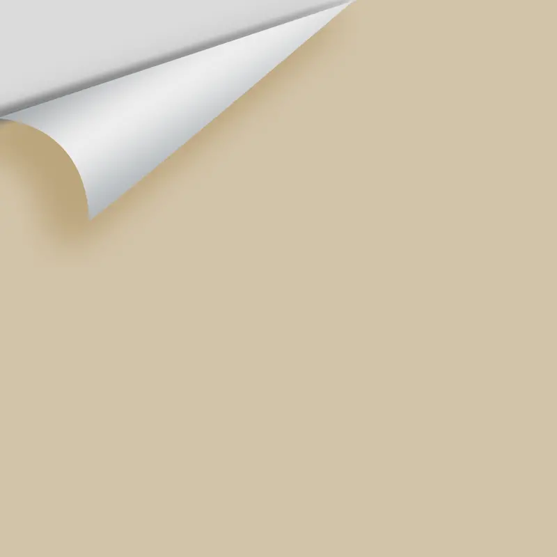 Shaker Beige Hc-45 Premium Paint Sample Chip 1