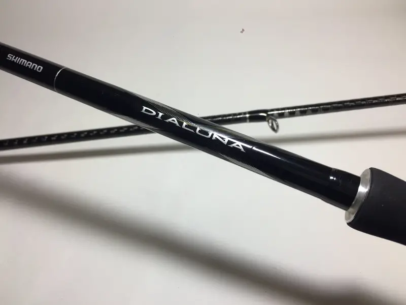 Shimano Dialuna S1000M Saltwater Spinning Rod 1
