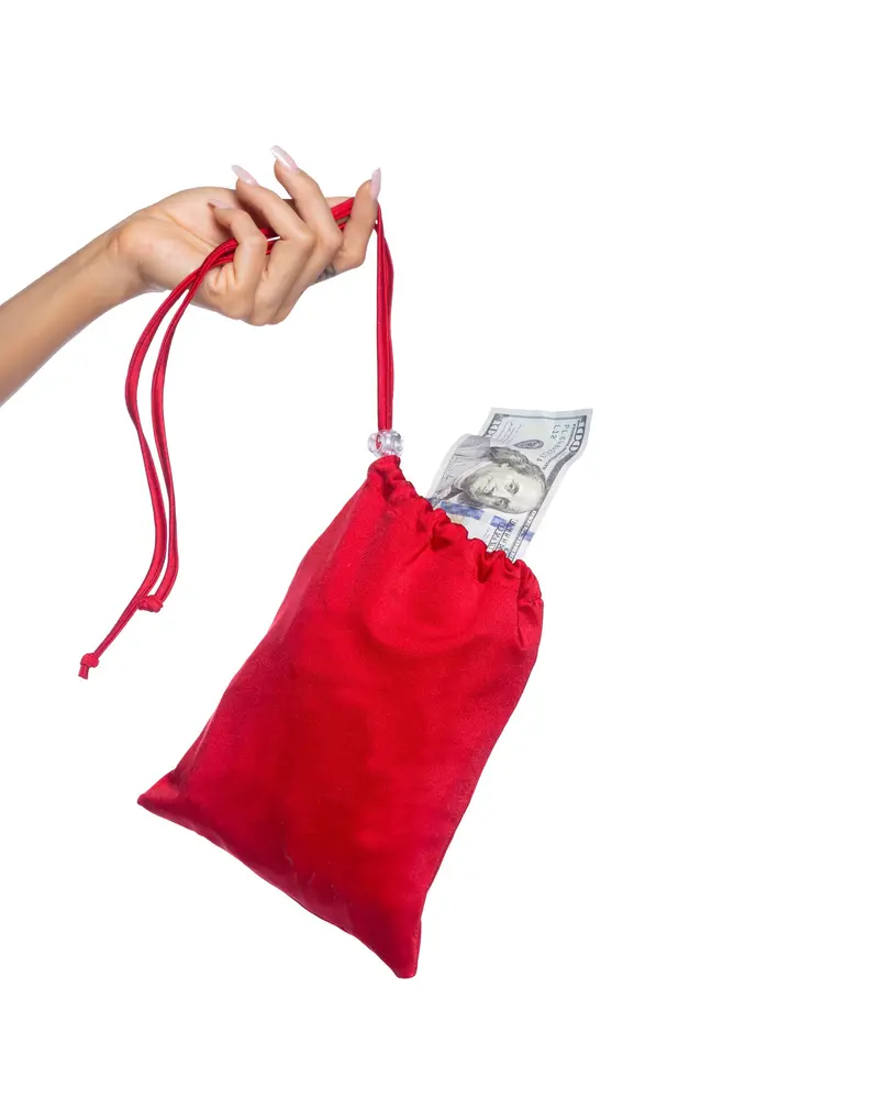 Spandex Iridescent Money Bag Clutch 3