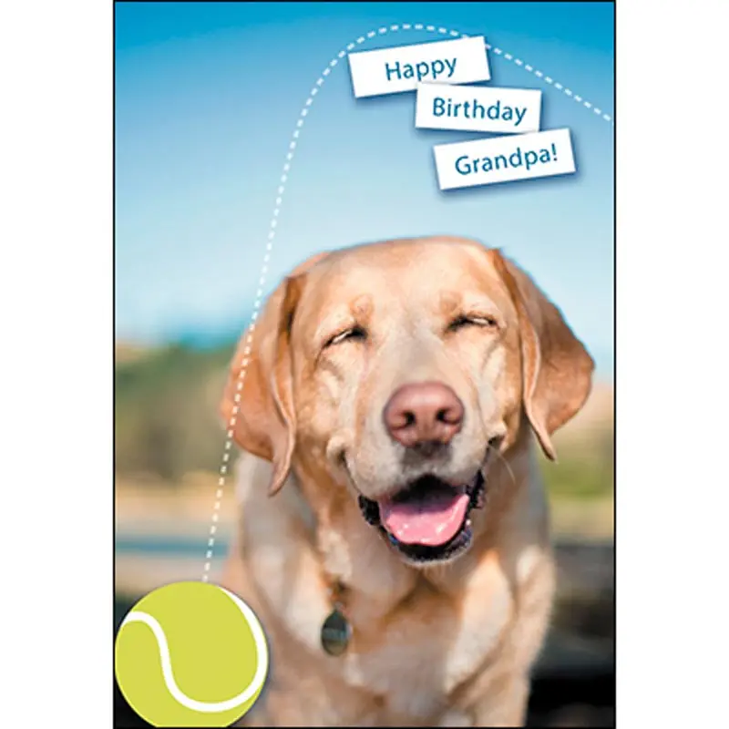 Warm Birthday Card For Grandad – Celebrating His Joyful Spirit 1